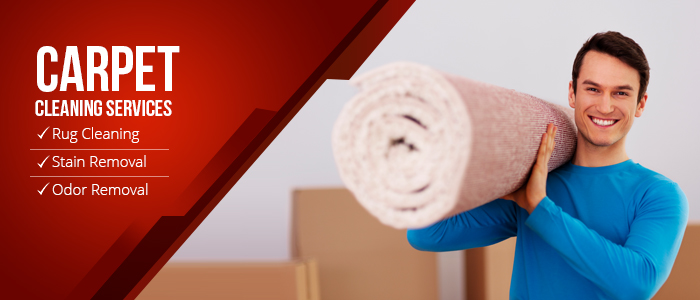 Carpet Cleaning Services Carpet Cleaning Services